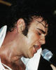 Elvis&nbsp;Presley&nbsp;lookalike