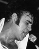 Elvis Presley&nbsp;lookalike