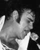 Elvis Presley&nbsp;Tribute