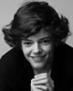 Harry Styles&nbsp;lookalike