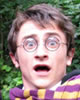 Harry&nbsp;Potter&nbsp;Characters&nbsp;lookalike