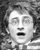 Harry Potter Characters&nbsp;lookalike