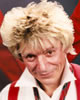 Rod&nbsp;Stewart&nbsp;lookalike